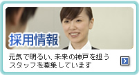 採用情報／元気で明るい、未来の神戸を担うスタッフを募集しています。