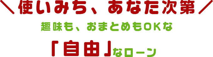 使いみち、あなた次第 趣味も、おまとめもOKな「自由な」ローン